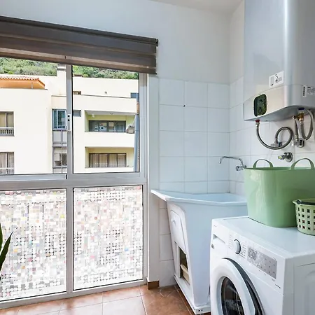 Viveiro's By Galmi *