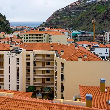 Viveiro's By Galmi