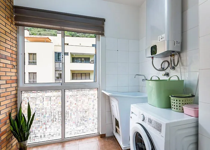 Viveiro's By Galmi *